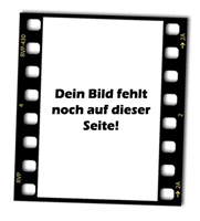suche